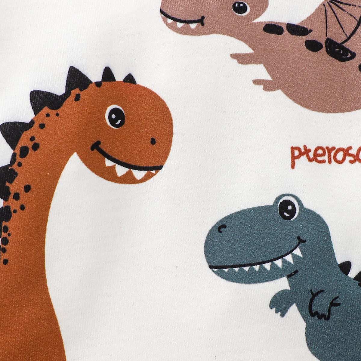 Children’s Boys Girls Dinosaur Graphic Hoodie and Pants Set